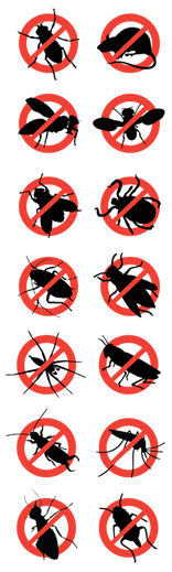 Best Pest Control in Illinois / Best Pest Control Illinois