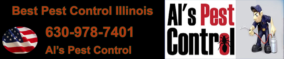 Best Pest Control in Illinois / Best Pest Control Illinois